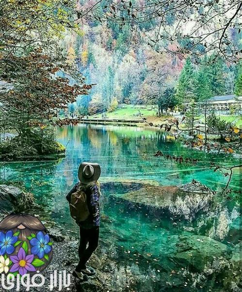 برداشت خوب از زندگی