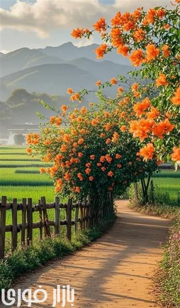  زیبایی ببینیم  